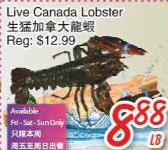 Foody Mart Live canada lobster offer