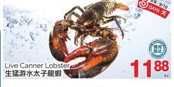 T&T Supermarket Live canner lobster offer