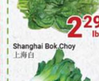 Oceans Fresh Food Market Malabar spinach offer