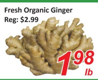 Seasons Foodmart Fresh organic ginger offer