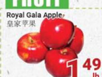 Oceans Fresh Food Market Royal gala apple offer