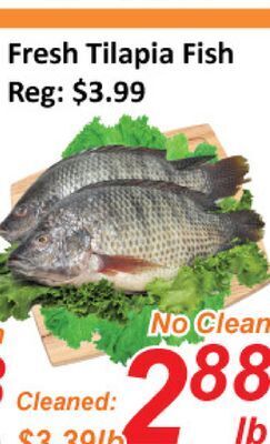 Seasons Foodmart Fresh tilapia fish offer