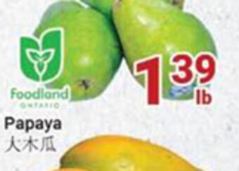 Oceans Fresh Food Market Papaya offer