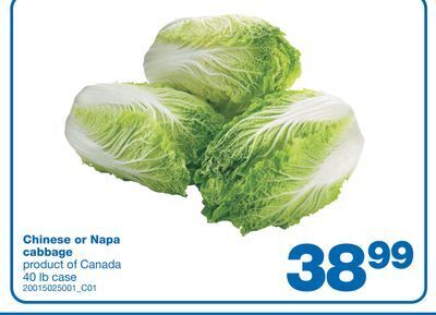 Wholesale Club Chinese or napa cabbage, 40 lb case offer