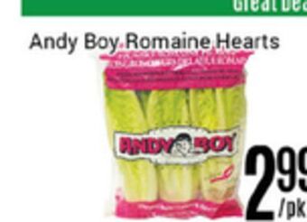Nations Fresh Foods Andy boy romaine hearts offer