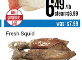 Nations Fresh Foods Fresh squid offer