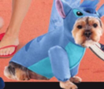 Party Expert Dog costume offer