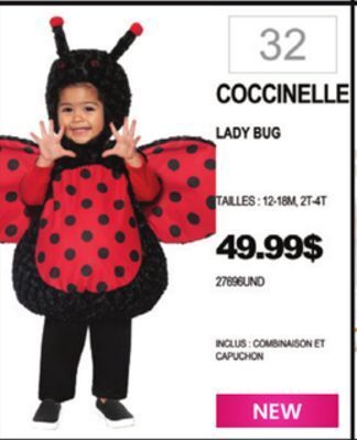 Party Expert Lady bug offer