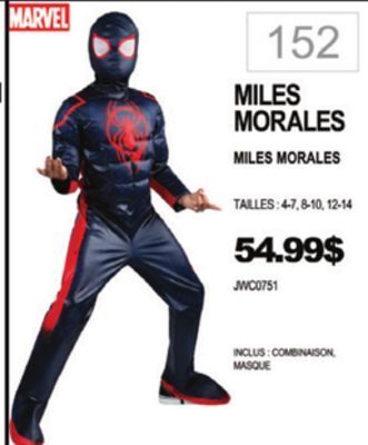 Party Expert Miles morales offer