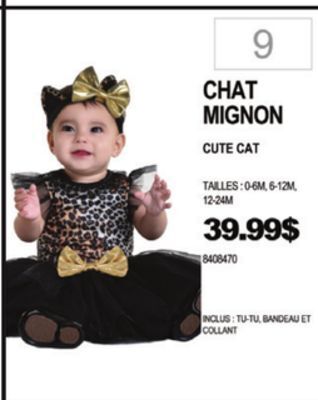 Party Expert Cute cat offer