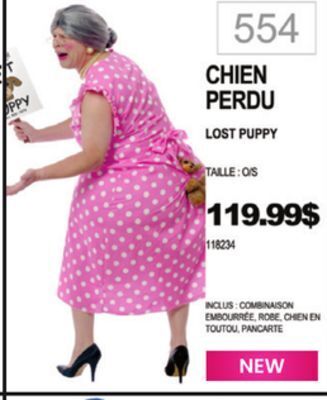 Party Expert Lost puppy offer