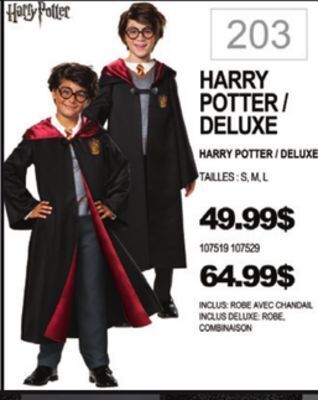 Party Expert Harry potter / deluxe offer