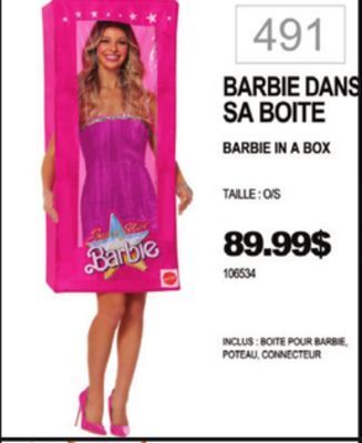 Party Expert Barbie in a box offer