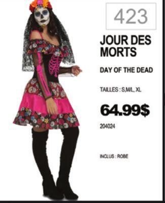 Party Expert Day of the dead offer