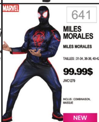Party Expert Miles morales offer