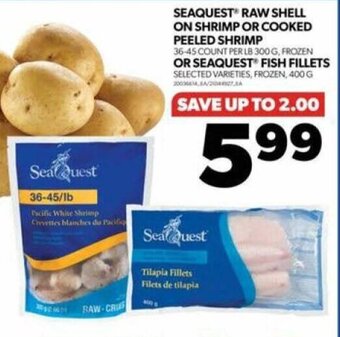 Real Canadian Superstore SEAQUEST RAW SHELL ON SHRIMP OR COOKED PEELED SHRIMP OR SEAQUEST FISH FILLETS offer