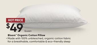 Sleep Country Bloom organic cotton pillow offer