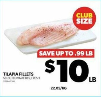 Real Canadian Superstore TILAPIA FILLETS offer