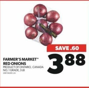 Real Canadian Superstore FARMER'S MARKET RED ONIONS offer