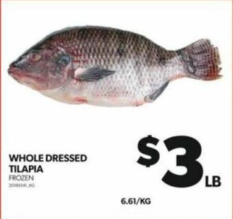 Real Canadian Superstore WHOLE DRESSED TILAPIA offer