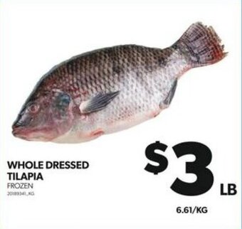 Real Canadian Superstore WHOLE DRESSED TILAPIA offer