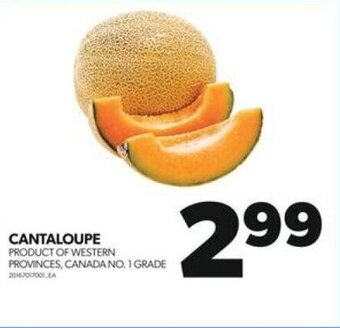 Real Canadian Superstore CANTALOUPE offer