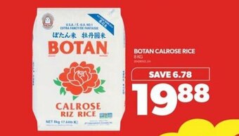 Real Canadian Superstore BOTAN CALROSE RICE offer