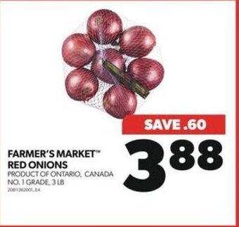 Real Canadian Superstore FARMER'S MARKET RED ONIONS offer