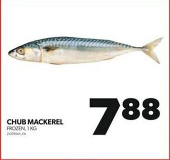Real Canadian Superstore CHUB MACKEREL FROZEN, 1 KG offer
