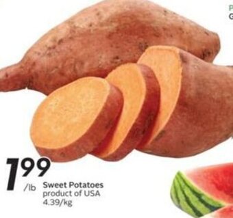 Sobeys Sweet Potatoes offer