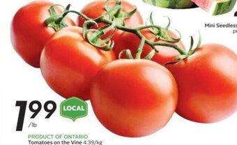 Sobeys Tomatoes on the Vine offer