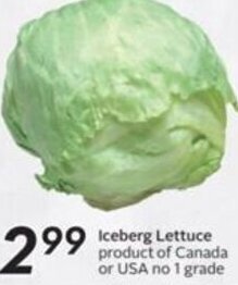 Sobeys Iceberg Lettuce offer