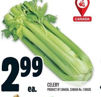 Metro CELERY offer