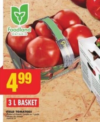 No Frills FIELD TOMATOES offer