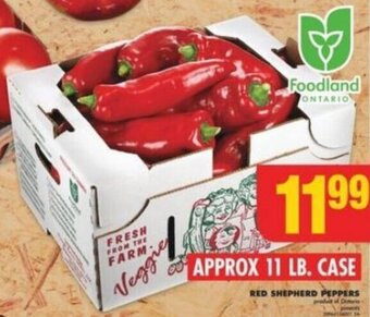 No Frills RED SHEPHERD PEPPERS offer