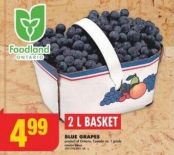 No Frills BLUE GRAPES offer