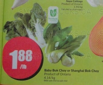 FreshCo Baby Bok Choy or Shanghai Bok Choy offer
