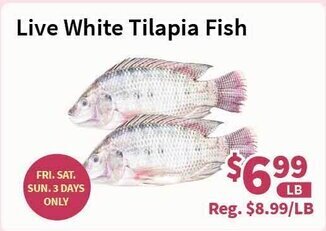 Blue Sky Supermarket Live White Tilapia Fish offer