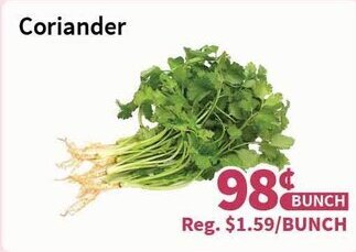 Blue Sky Supermarket Coriander offer