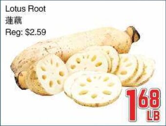 Foody Mart Lotus Root offer