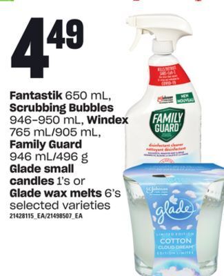 Loblaws Fantastik 650 ml, scrubbing bubbles 946-950 ml, windex 765 ml/905 ml, family guard 946 ml/496 g glade small candles 1's or gl offer
