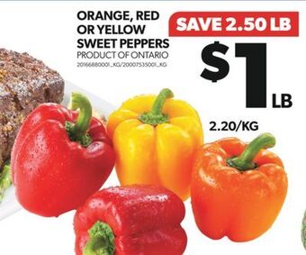 Real Canadian Superstore Orange, red or yellow sweet peppers offer
