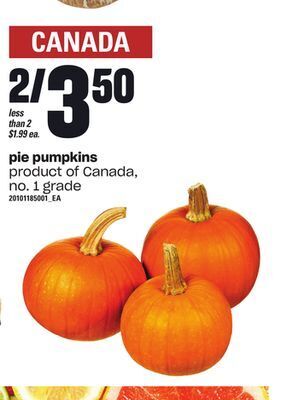 Loblaws Pie pumpkins offer