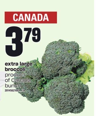 Loblaws Extra large broccoli offer