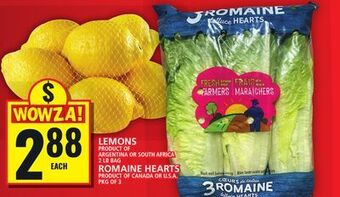 Food Basics Lemons or romaine hearts offer