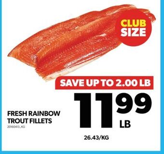 Real Canadian Superstore Fresh rainbow trout fillets offer