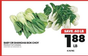 Real Canadian Superstore Baby or shanghai bok choy offer