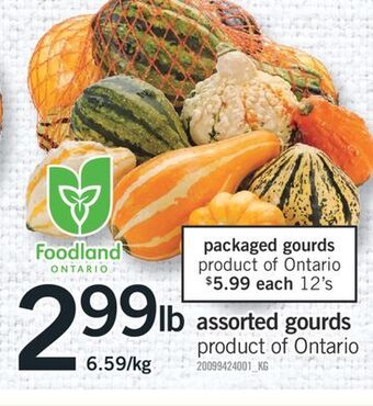 Fortinos Assorted gourds offer