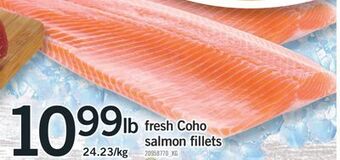 Fortinos Fresh coho salmon fillets offer