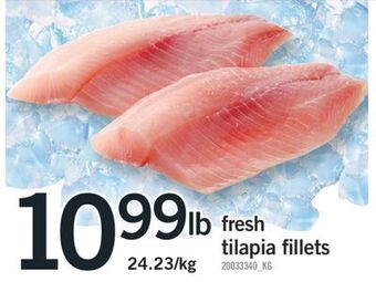 Fortinos Fresh tilapia fillets offer